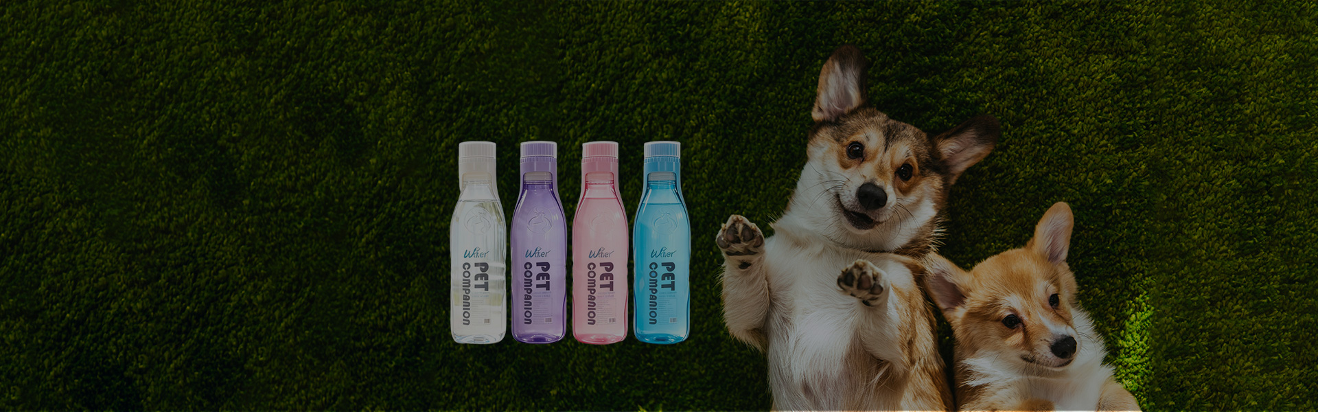 Professional pet drinking water and beverage manufacturing facility