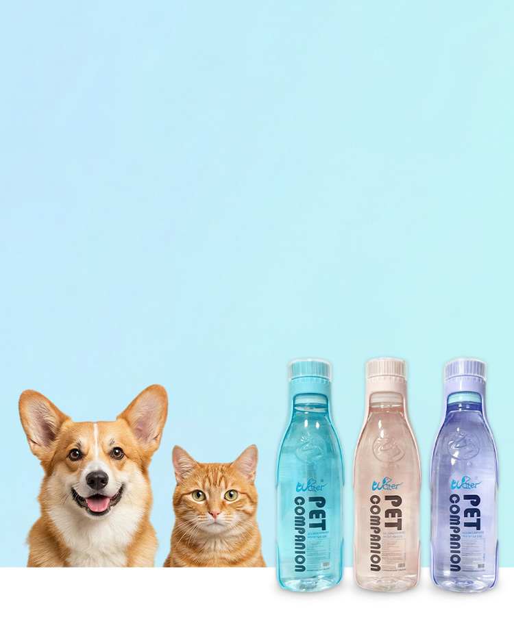 Professional pet drinking water and beverage manufacturing facility